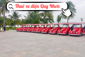 /tin-tuc/dao-quanh-thanh-pho-bien-quy-nhon-voi-nhung-chiec-xe-dien-tien-loi