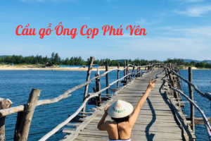 /tin-tuc/cay-cau-go-ong-cop-phu-yen-–-net-dep-binh-di-giua-mien-hoa-vang-co-xanh