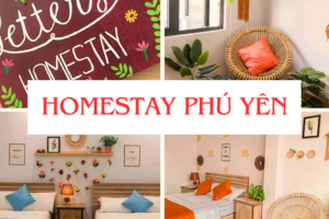 /tin-tuc/top-nhung-homestay-phu-yen-dep-nuc-long-nguoi