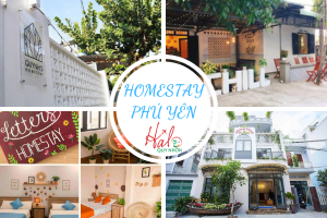 /tin-tuc/homestay-phu-yen--noi-nghi-duong-phu-hop-cho-moi-nha