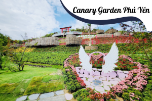 /tin-tuc/canary-garden-phu-yen--thien-duong-song-ao