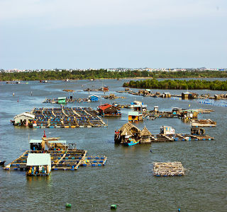 LONG SƠN - HỒ TRÀM 